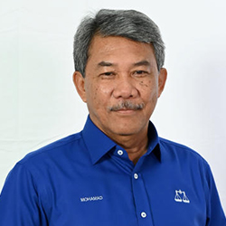 Datuk Seri Mohamad Hasan