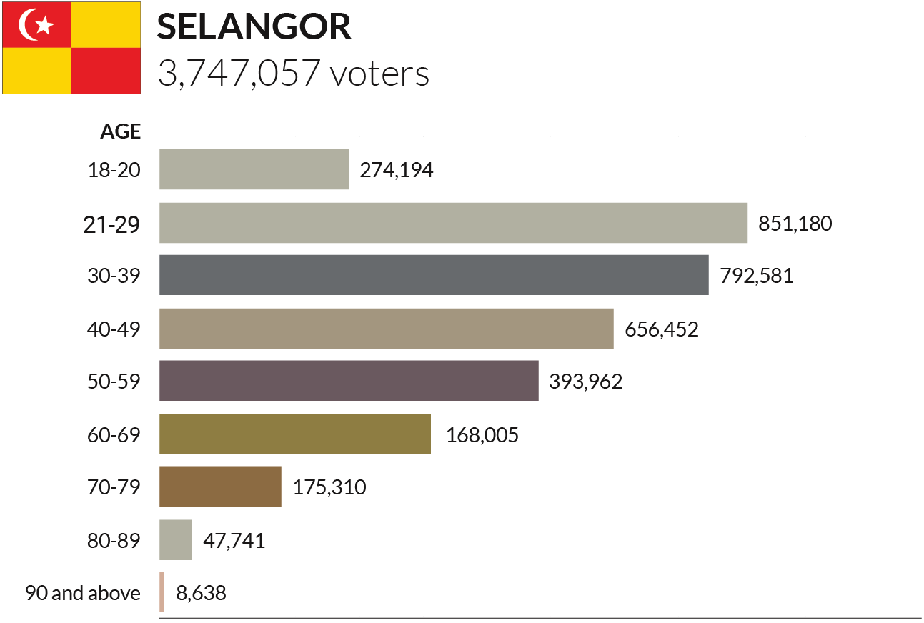 Selangor Age Group Voters